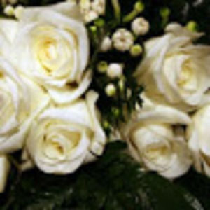 Meet your Posher, Leann